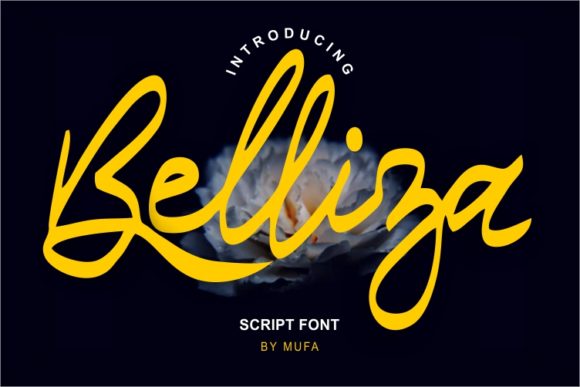 Belliza: A Modern Handwritten Font for Web Design