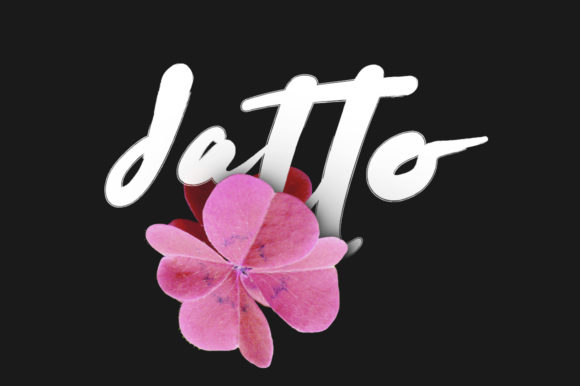 Datto Font Review: A Designer’s Perspective on Script Amp’s Latest Release